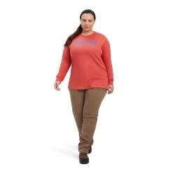 Ariat Rebar CottonStrong Block T-Shirt 11 Ariat Rebar CottonStrong Block T-Shirt -Ariat 10041437 full plus