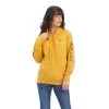 Ariat REAL Classic Arm Logo Hoodie
