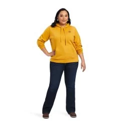 Ariat REAL Classic Arm Logo Hoodie 14 Ariat REAL Classic Arm Logo Hoodie -Ariat 10041636 full plus