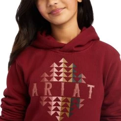 Ariat REAL Beartooth Hoodie -Ariat 10041654 detail01