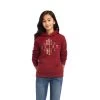 Ariat REAL Beartooth Hoodie -Ariat 10041654 front