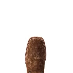 Ariat Men's Circuit Paxton 14 Ariat Men's Circuit Paxton -Ariat 10042407 toe