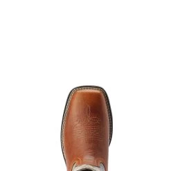 Ariat Women's Delilah -Ariat 10042420 toe