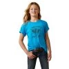Ariat Farm Hair SS Tee