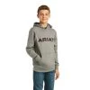 Ariat Basic Hoodie Sweatshirt -Ariat F21 BYS WEST 10037006 front