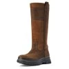 Ariat Men's Moresby Tall Waterproof -Ariat F22 MNS ENGL 10042558 3 4 front