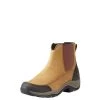 Ariat Women's Durayard H20