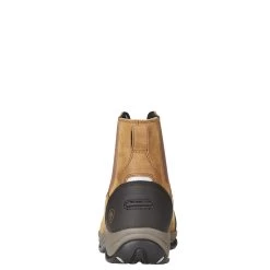 Ariat Women's Durayard H20 -Ariat S18 WMS ENDR Holt 10023096 heel