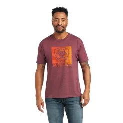 Ariat Gradient T-Shirt