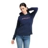 Ariat 3D Logo 2.0 Hoodie -Ariat S22 WMS ENGL 10039222 front