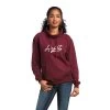 Ariat REAL Logo High Neck Sweatshirt -Ariat S22 WMS WEST 10039840 front